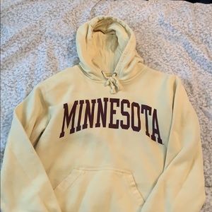 COPY - Minnesota hoodie